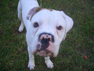 PLEASE love me?!?!