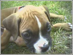 Please mamma, please!!!