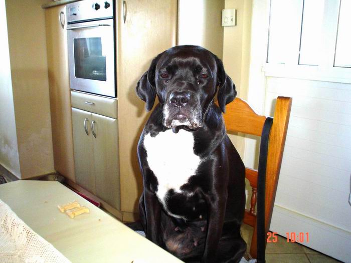 Please mom bring me another chair and let me sleep!