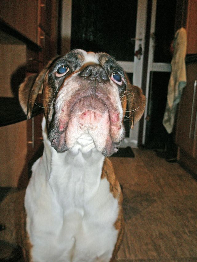 Please, Mum, can I have some more?