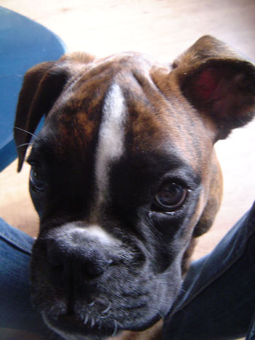 Please mummy!!!