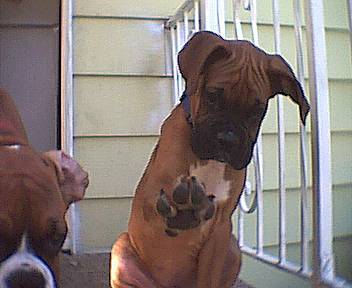 Please, no more pictures mom!
