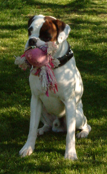Please play with me