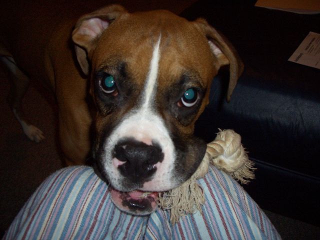 Please Play with Me!