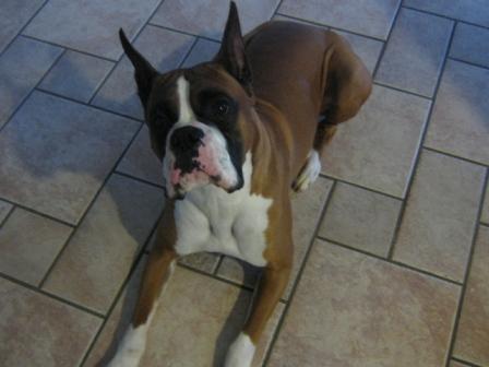 please, pretty please.