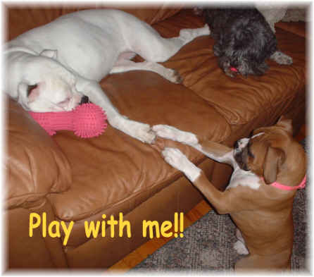 PLEEEZE Play with ME??