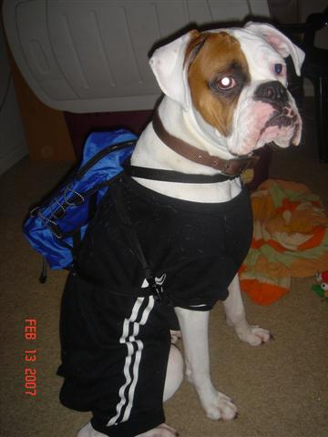 Poebackpack