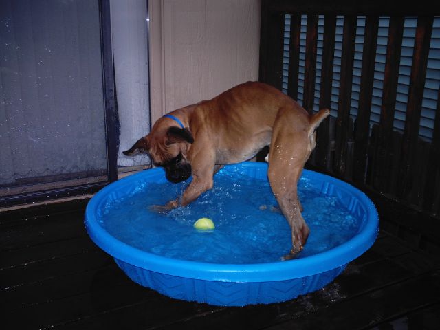 Pool Hopping 1