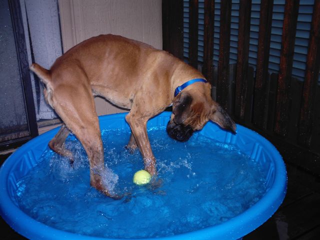 Pool Hopping 2
