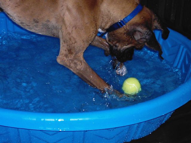 Pool Hopping 3