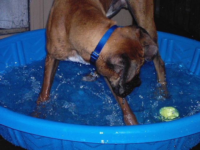 Pool Hopping 4
