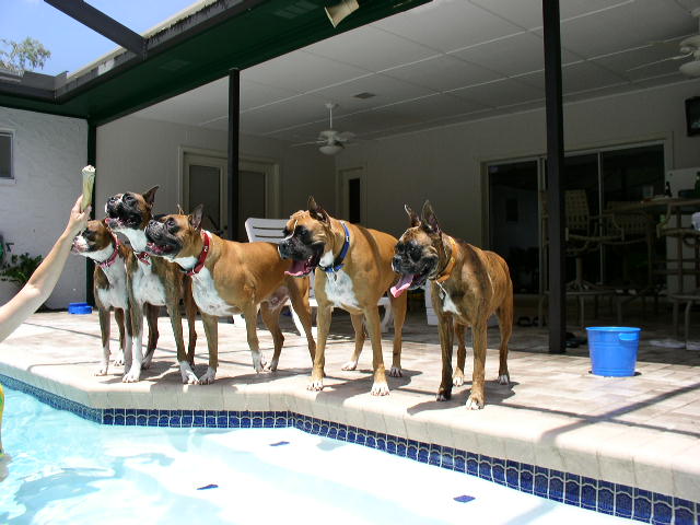pool party