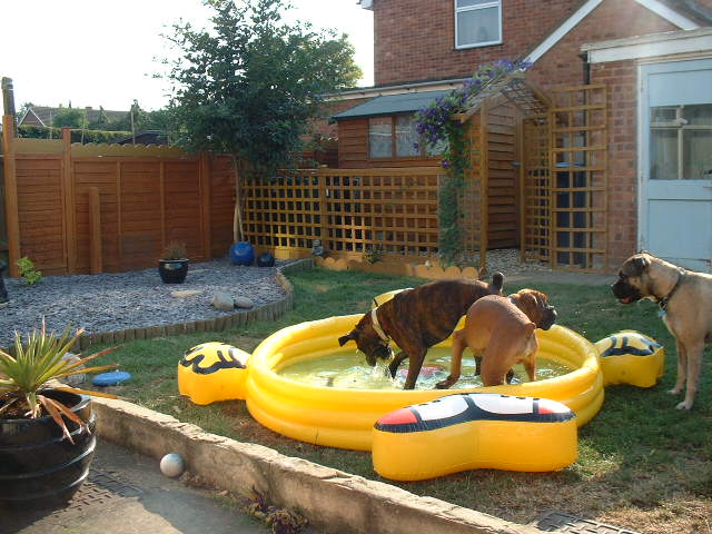 pool