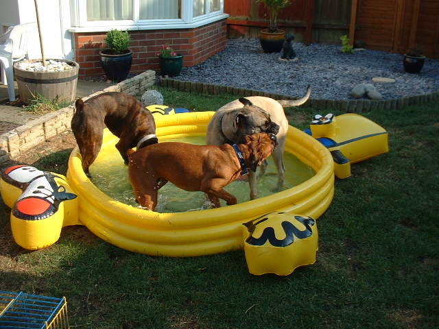 Pool7