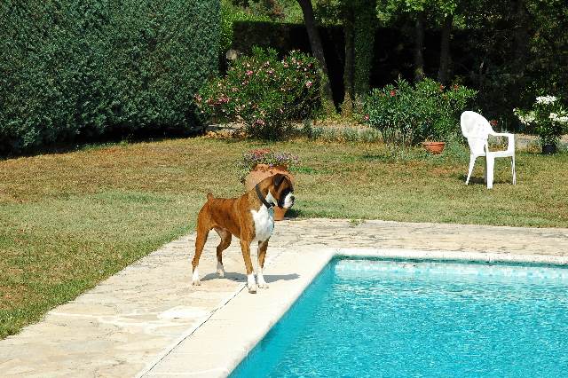 Poolside