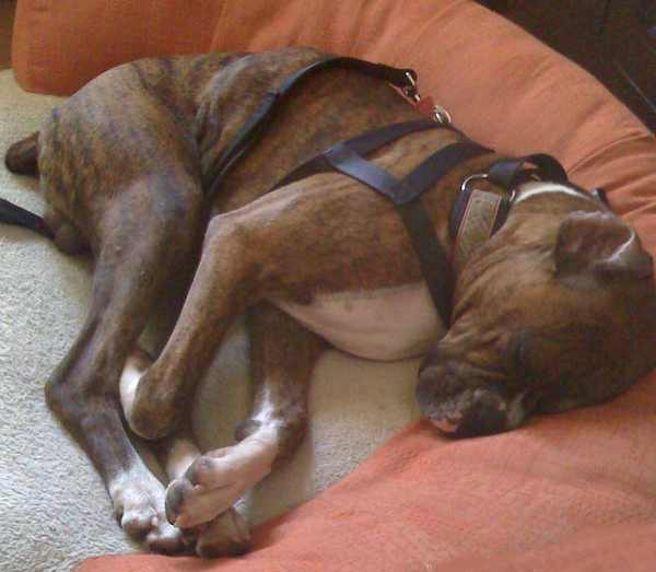 Pooped out at last!