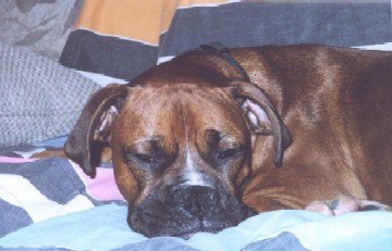 Pooped Out