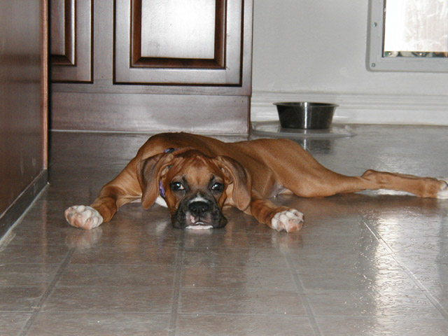 Pooped Out