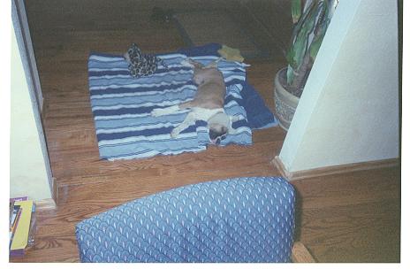 Pooped out