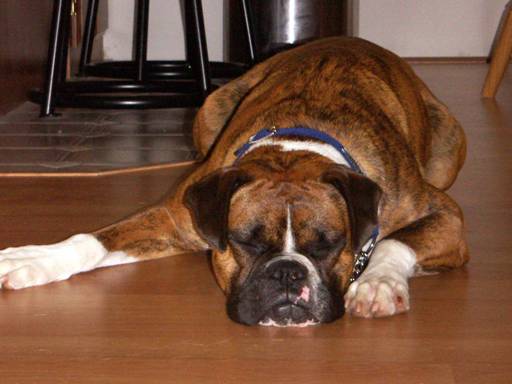 Pooped out