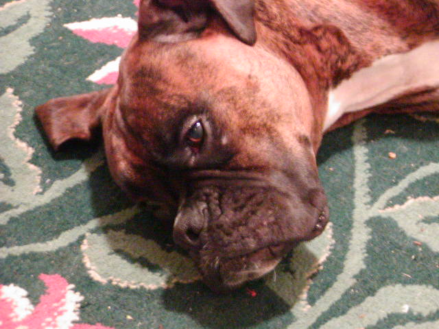 Pooped!
