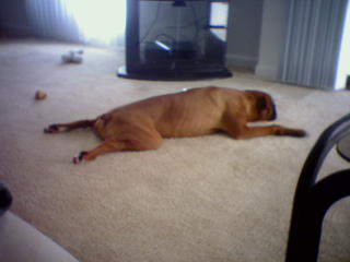 POOPED!