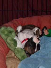 Pooped!