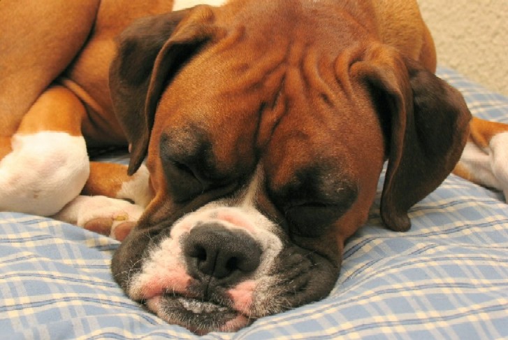 Pooped