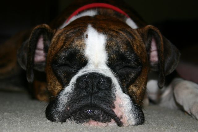 Pooped