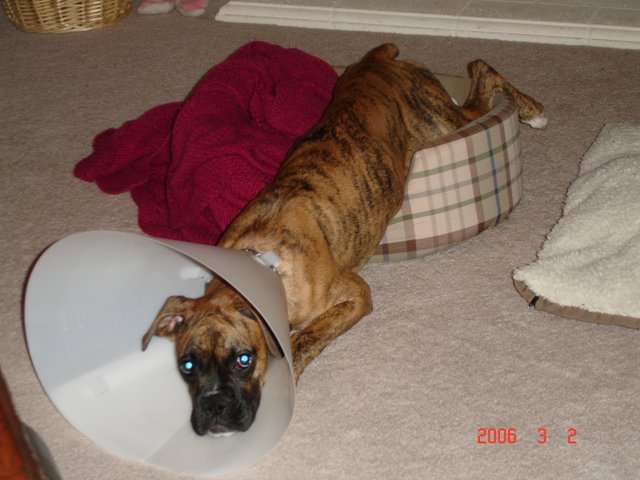 Poor baby