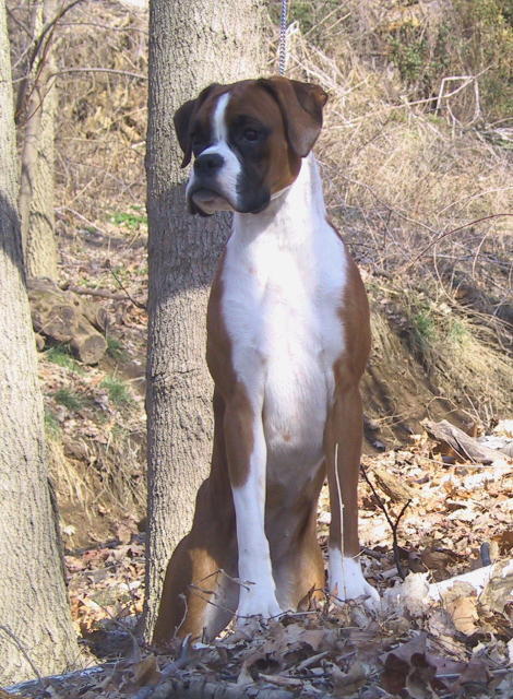 Poppins 10 months