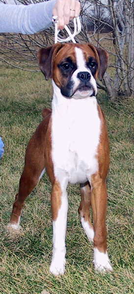 Poppins at 8.5 months
