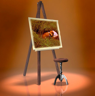 Portrait of a Boxer