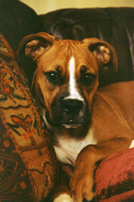 portrait