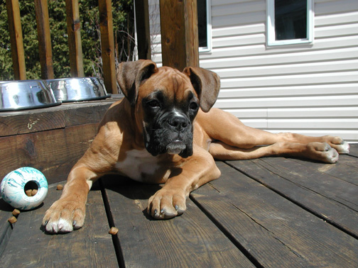 Pose Number 3! (16wks)