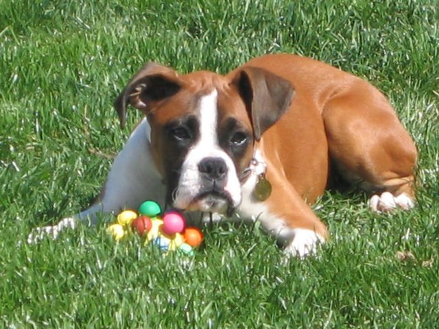 posing at 16 weeks