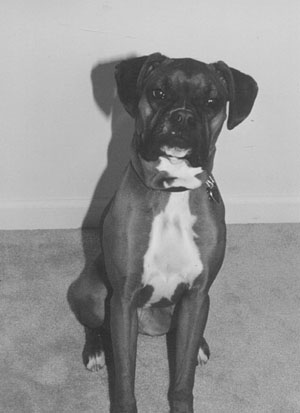 posing baby