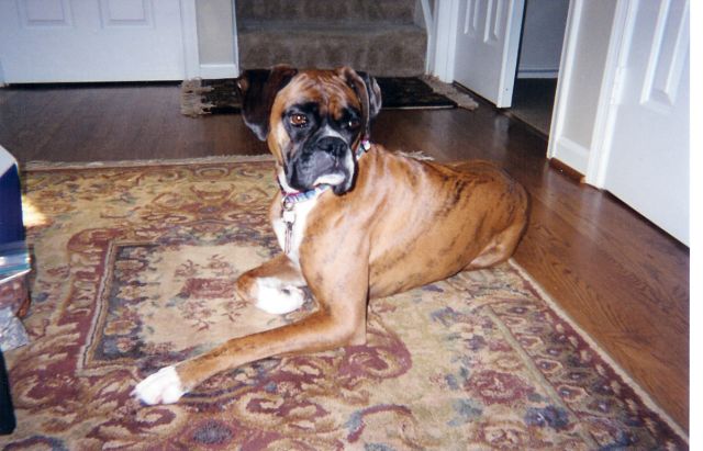 Posing for a picture