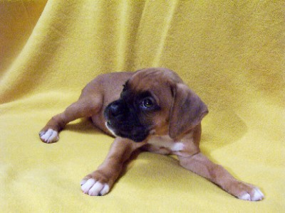 Posing for Mommy