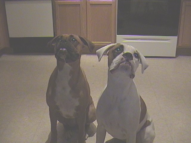 Posing for Mommy