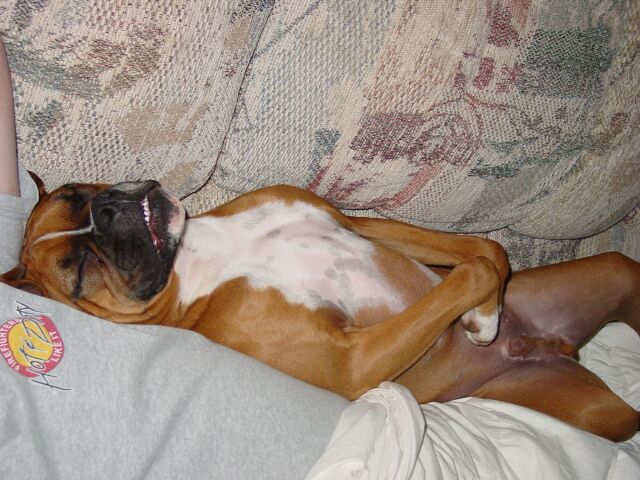 Posing for Playdog