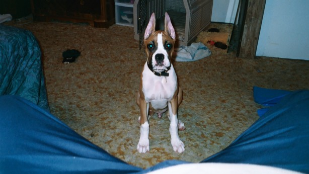Posing for the camera