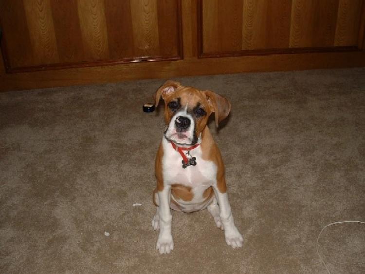 posing for the camera