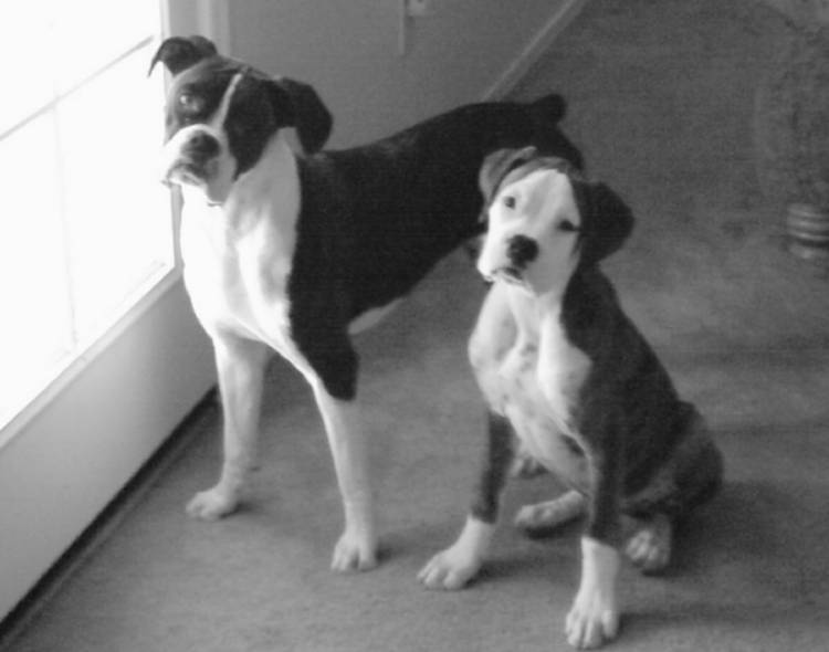 Posing for the camera