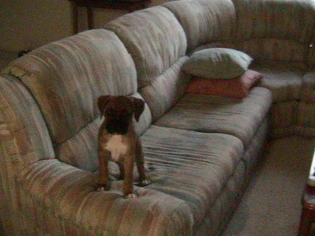 Posing for the camera