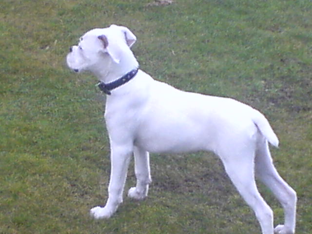 posing....im so vein