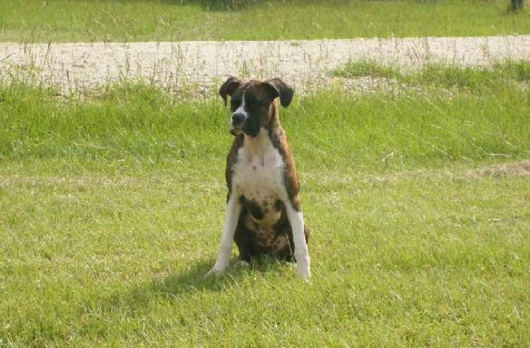 Posing Pretty