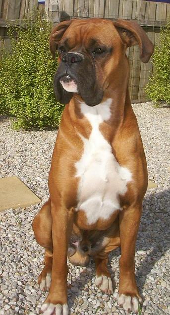 Posing....