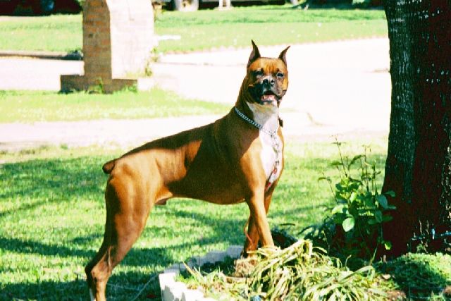 Posing_Big