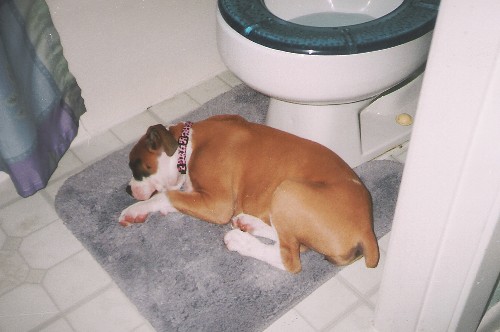 Potty break!